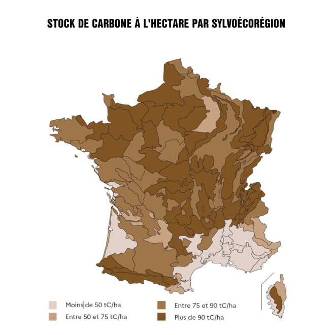 La carte du stock de carbone à l'hectare