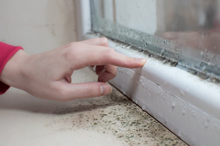 De la condensation et de la moisissure sur une fenêtre