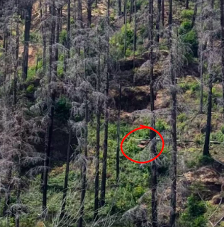 La voiture cachée sur l'image