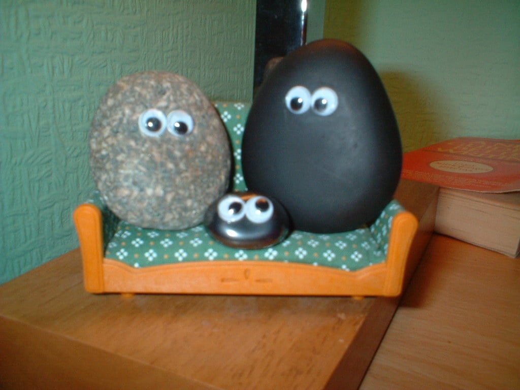 La famille de Pet Rock