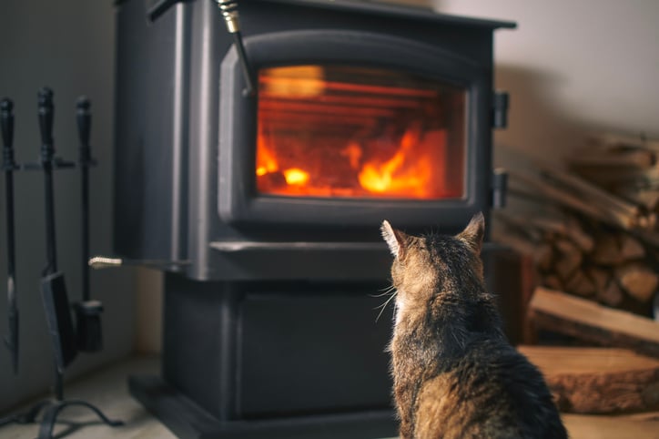 Un chat devant une cheminée