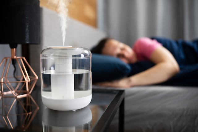 Zoom sur un un humidificateur d’air