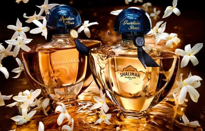 Le parfum Shalimar de Guerlain