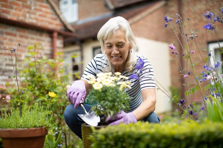 Une femme intègre une plante dans son jardin