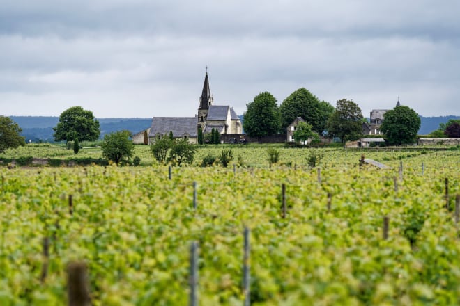 Un vignoble de la vallée de la Loire