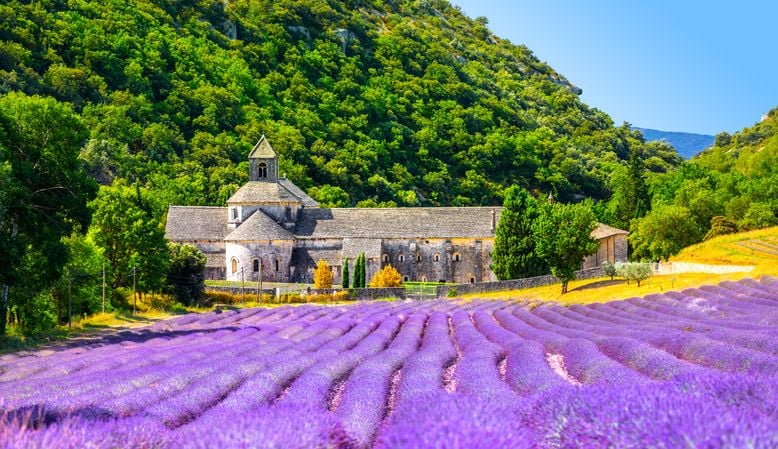 L'abbaye de Senanque