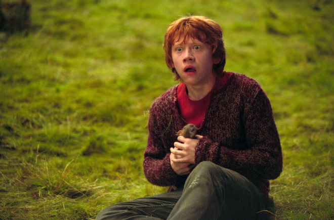 Ron Weasley dans Harry Potter