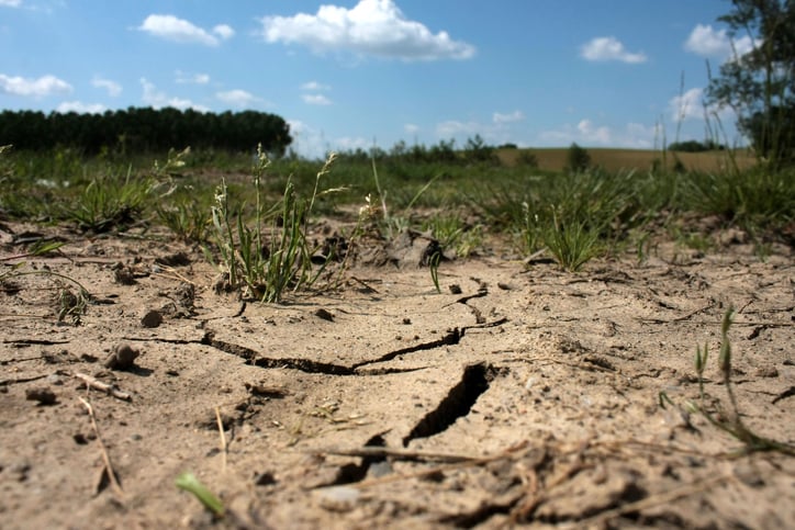 Le sol impacté par la sécheresse