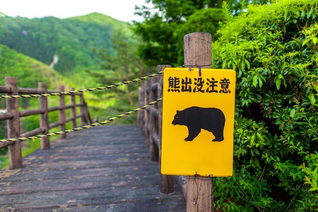 Panneau d'avertissement indiquant la présence d'ours