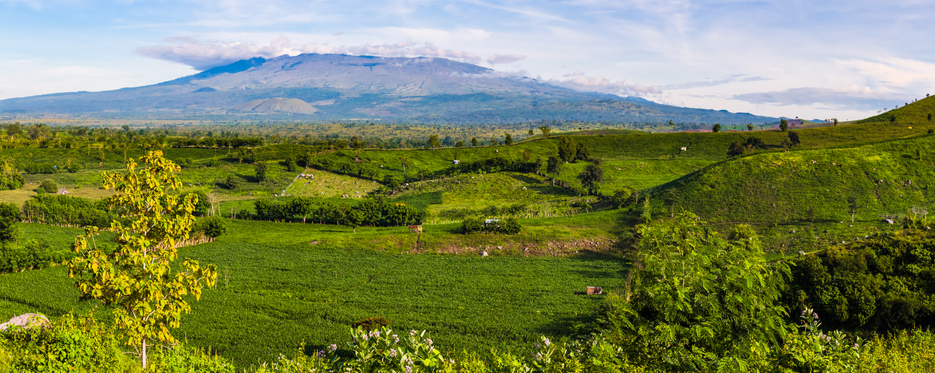 Le Mont Tambora en Indonésie