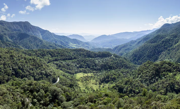 Région de l'Alto Mayo au Pérou