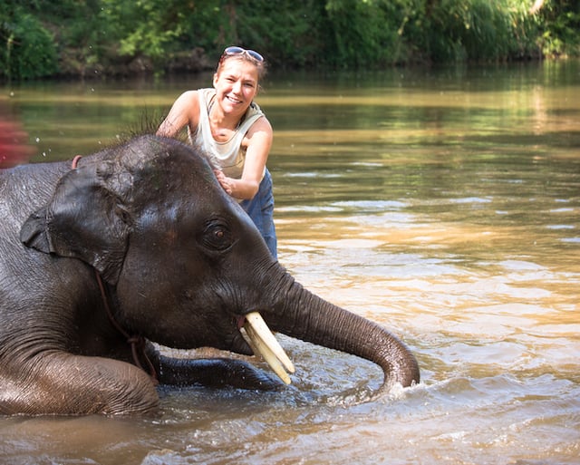 Une touriste en train de laver un éléphant 