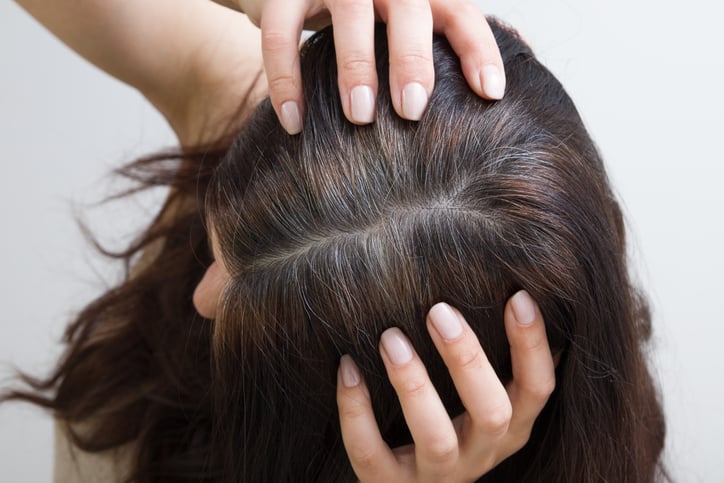 Une femme a des cheveux blancs