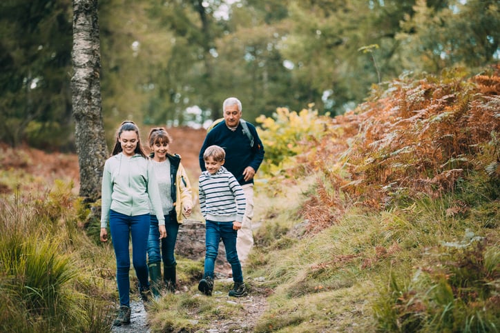 Une famille dans les bois