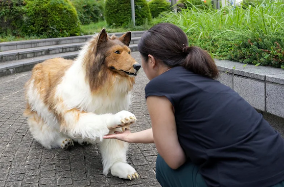 Toco dans son costume de chien