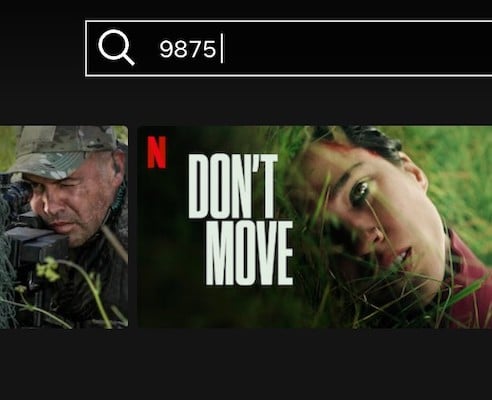 Capture d'écran Netflix