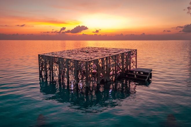 La coralarium au coucher de soleil