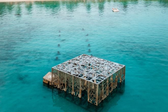 Le Coralarium vu du haut