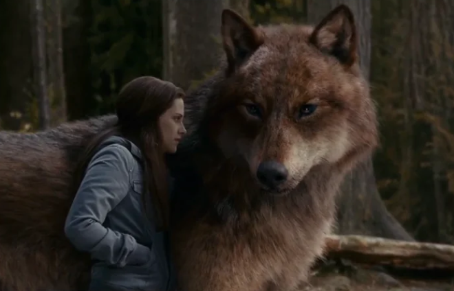 Bella et un loup-garou dans Twilight