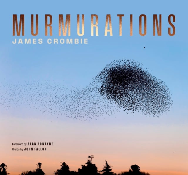 Couverture du livre "Murmurations"