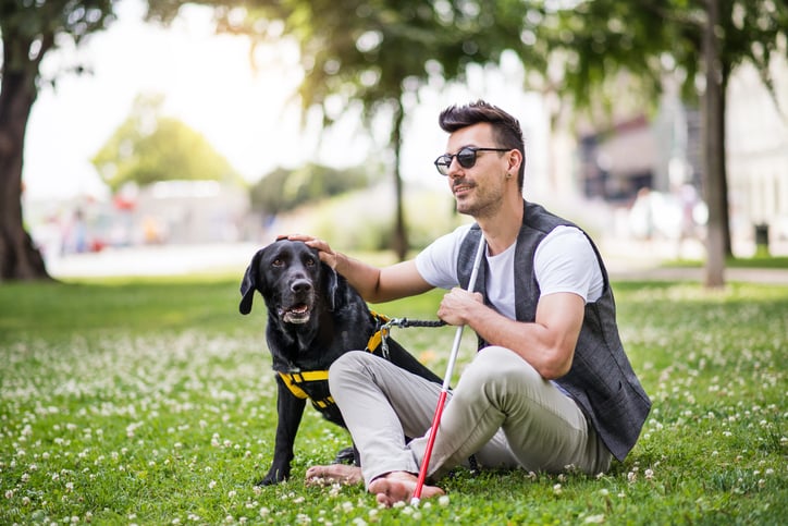 Un homme malvoyant et son chien