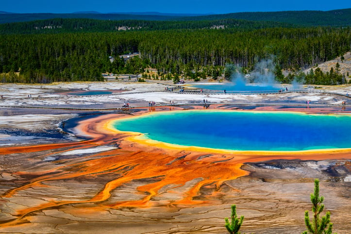 Une source d'eau chaude à Yellowstone