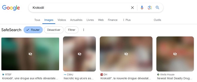 photos floutés sur Google image Krokodil