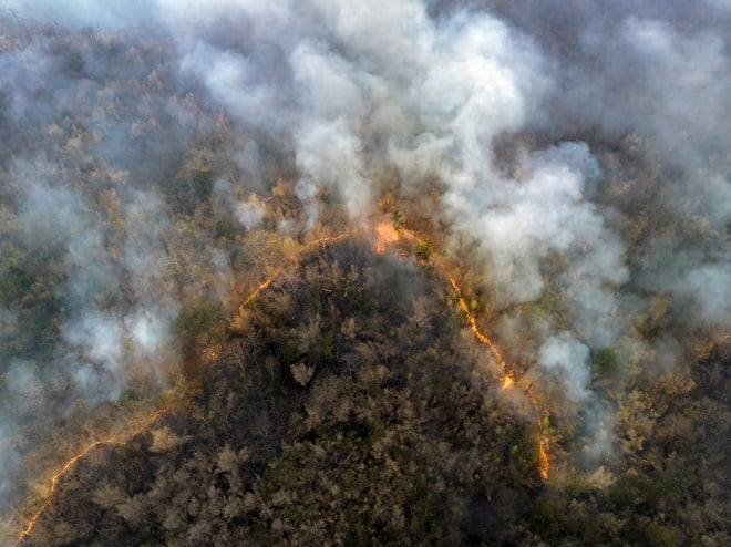 feux de forêts libérant du CO2 dans l'atmosphère