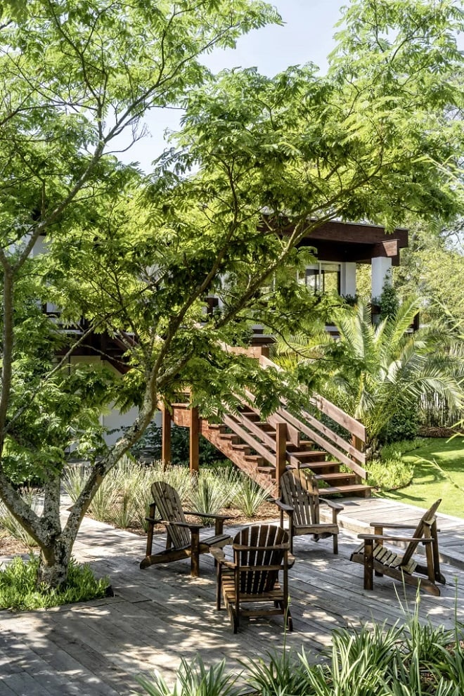 terrasse en bois sous un arbre