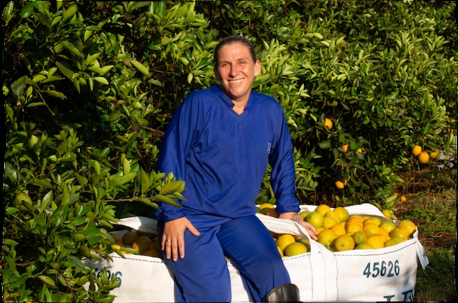 Une ouvrière agricole dans une production d'oranges au Brésil.