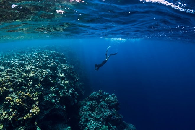 un plongeur dans les fonds de l'océan