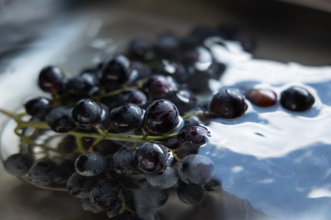 Grappe de raisins flottant dans l'eau