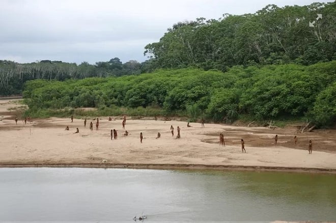 images montrant une tribu isolée d'Amazonie