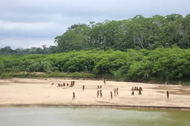 image montrant une tribu isolée d'Amazonie près d'une rivière